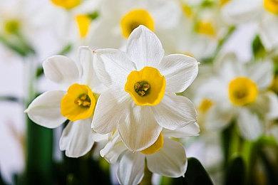 《消逝的光芒2》发售时不支持跨平台和跨世代联机